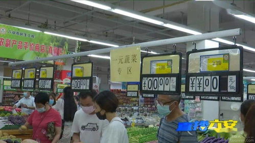 六安城区农副产品平价商店让利优惠22天 惠民生、促消费的双赢实践